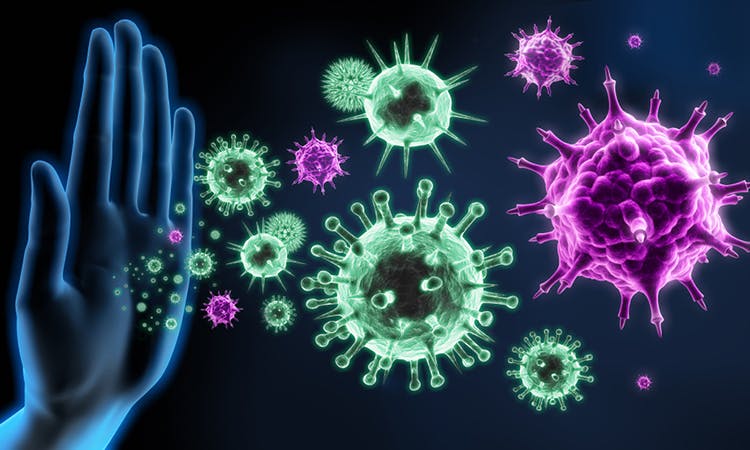 From threat detection to defense - understanding the cells of the immune system : Part 1